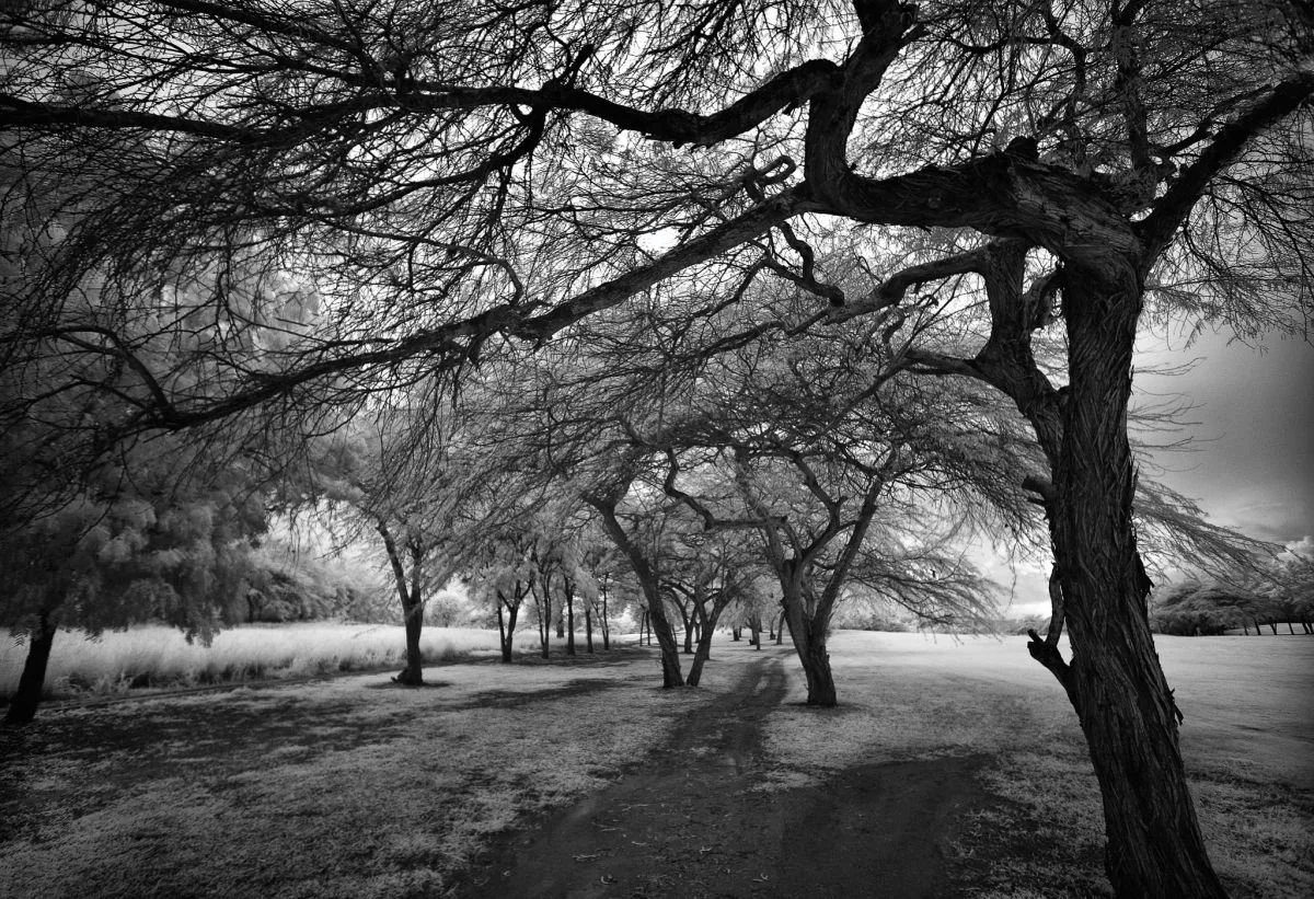 Hoyo 6, Las Aromas, Santiago. 2009