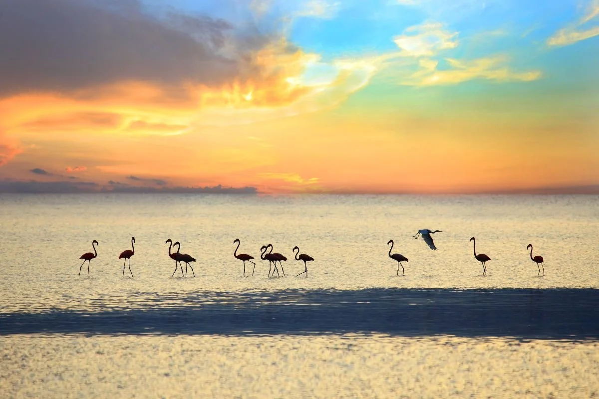 Atardecer en Monte Cristi. 2019
