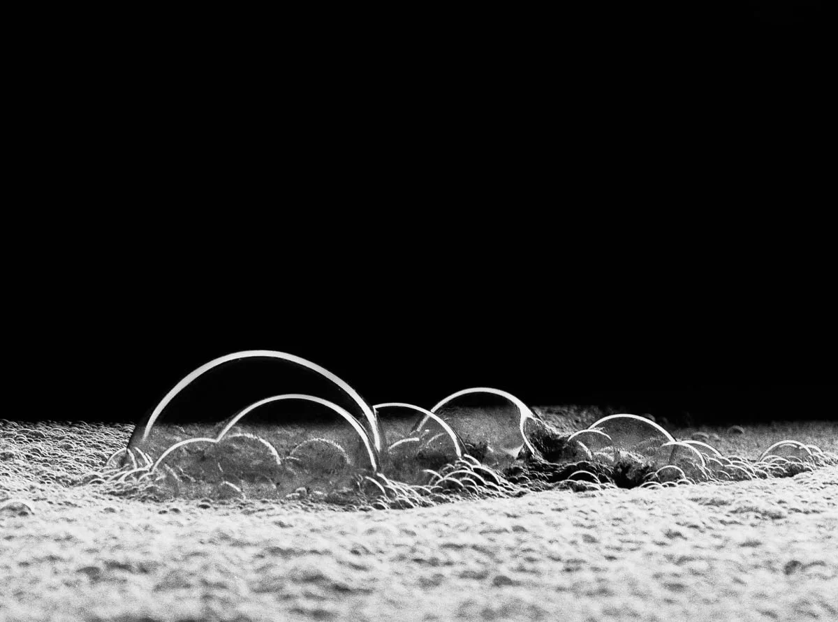 Burbujas de la Fermentación. 2006