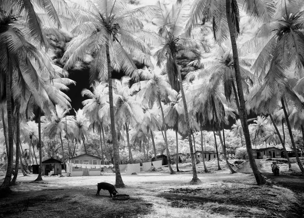 Caserío en Punta Gorda, Samaná. 2009
