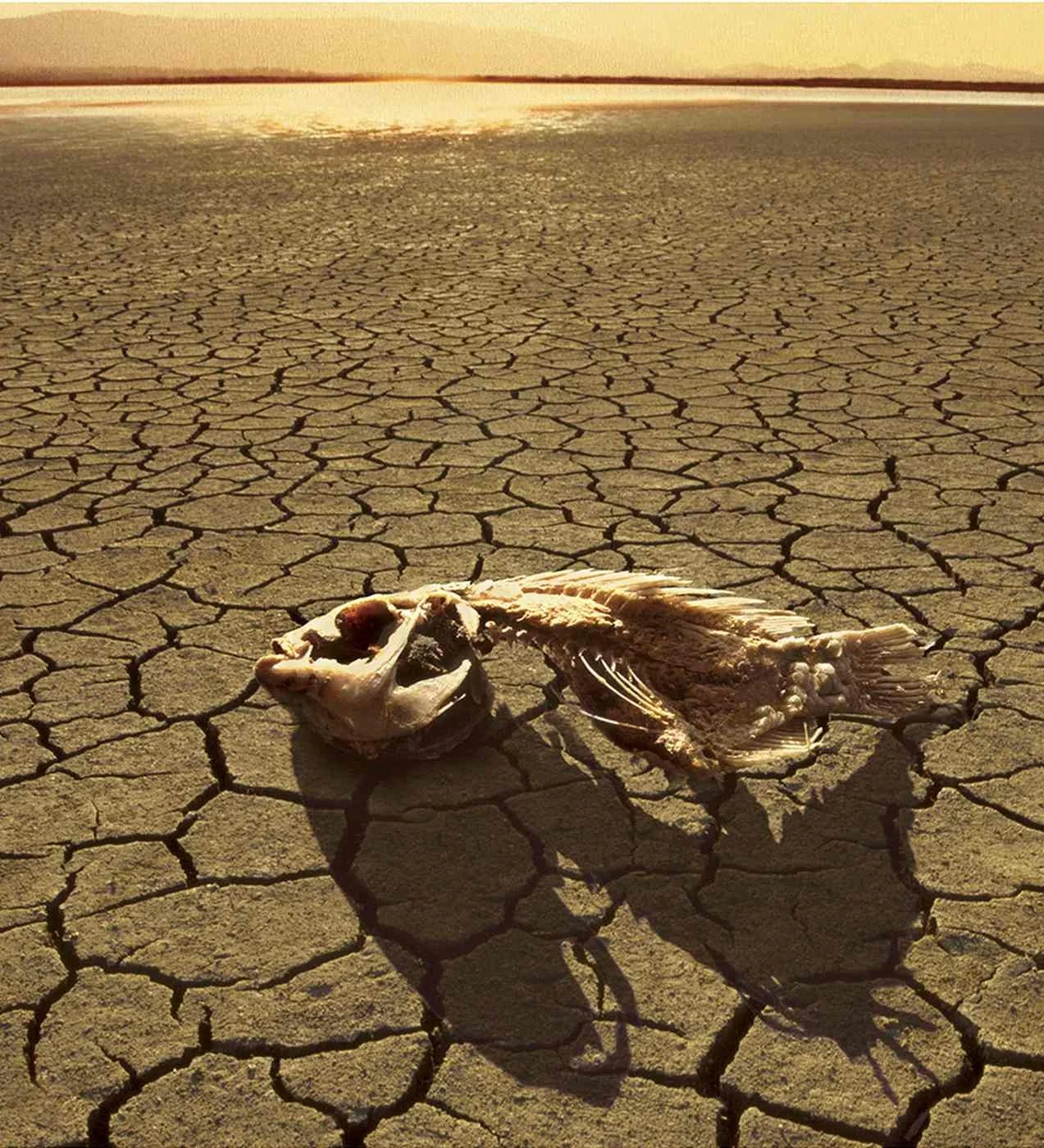 Sequía en Laguna Cabral. 2001