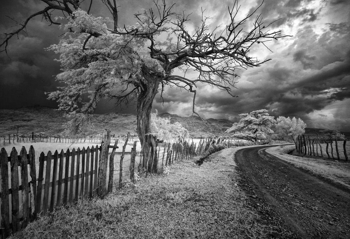 Paisaje de Jicomé. 2009