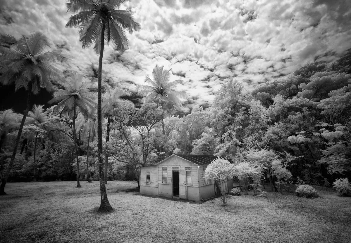 Casita de Arroyo Barril, Samaná. 2009