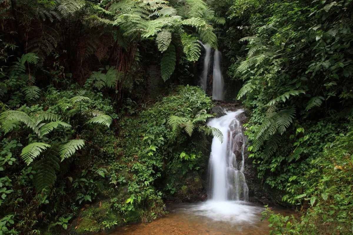 Salto de Casabito, Carretera de Constanza. 2018