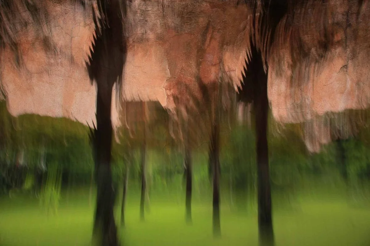 Siluetas Urbanas. 2012