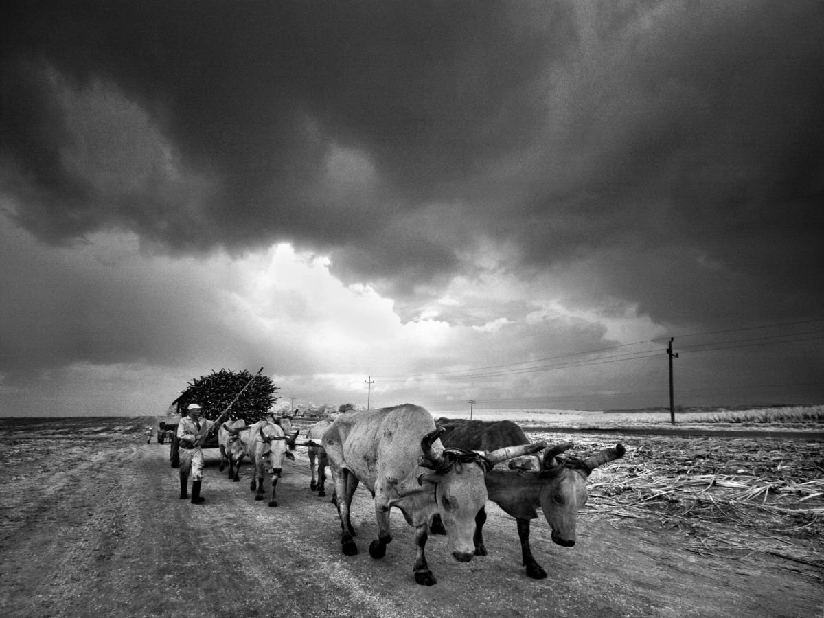 De la Zafra en La Romana 2. 2009