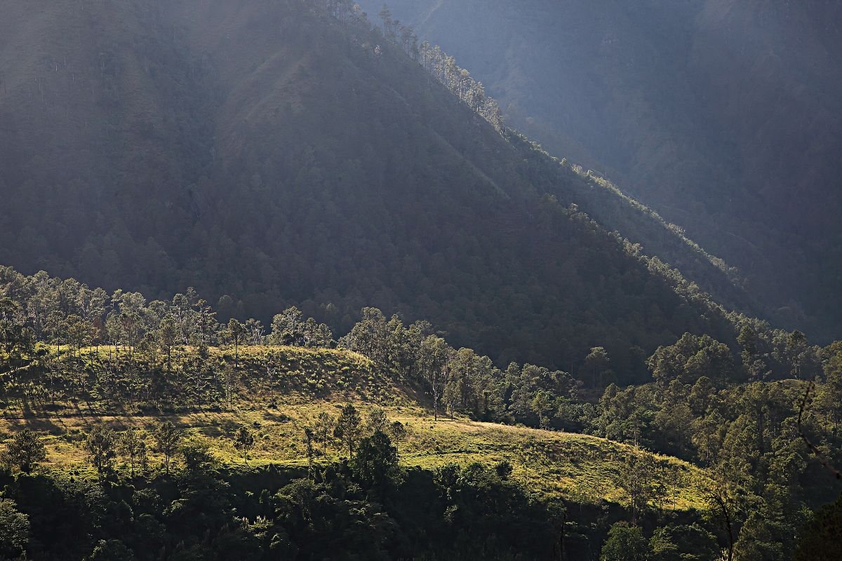 Montañas del Convento, Constanza.  2019