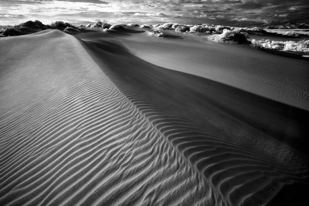 Dunas de Baní 2. 2009