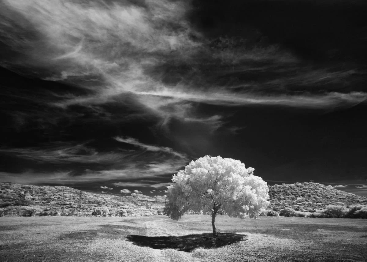 Pradera de Baní. 2009