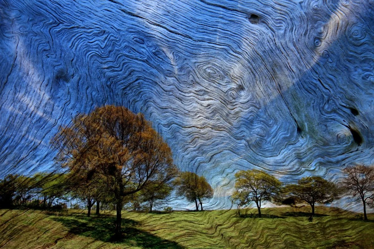 Paisaje Alterado. 2011