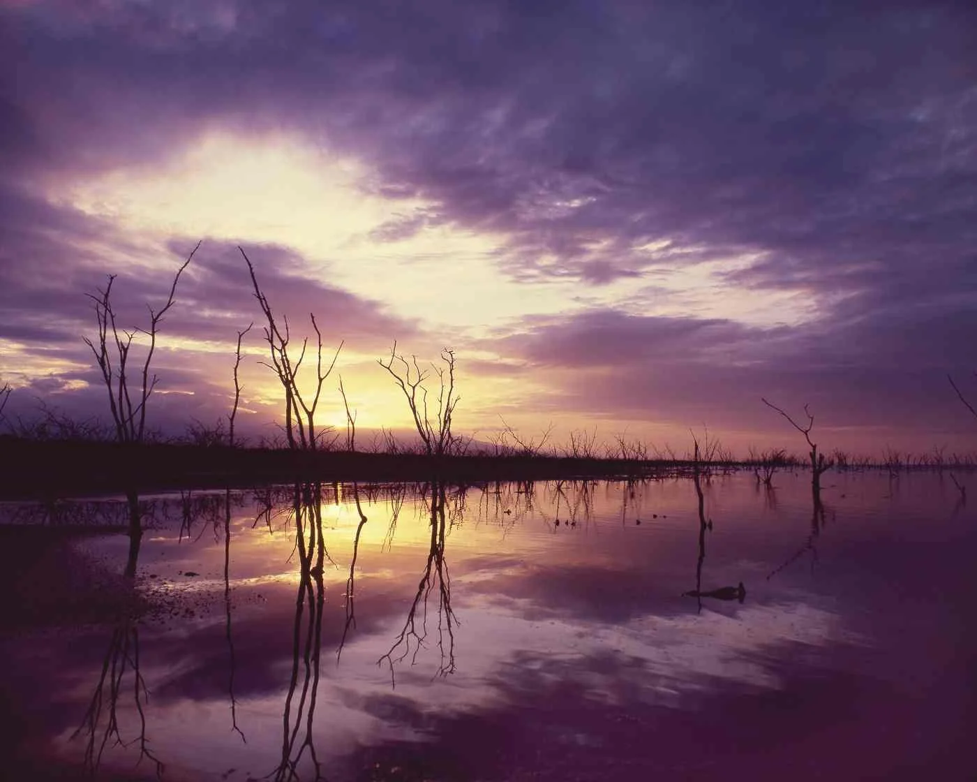 Amanecer en Isla Cabritos, Lago Enriquillo. 1984