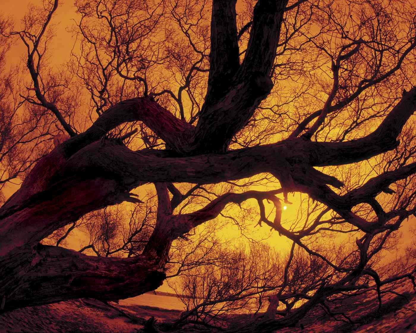 Amanecer en Cayo Salinero, Montecristi. 1995