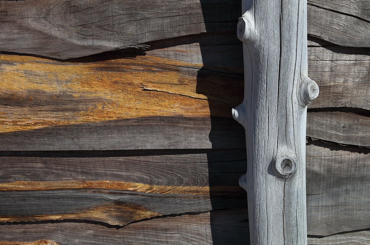 Serie de Madera y Tiempo 5. 2020