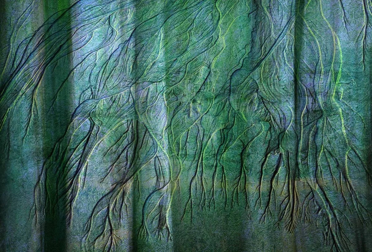 Formas Organicas. 2010