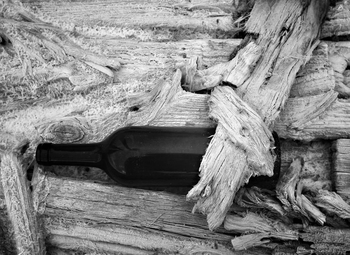 Huellas del Tiempo, Manzanillo. 2009