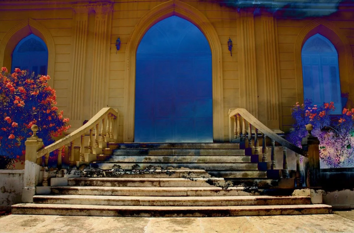 Portales del Futuro. 2011