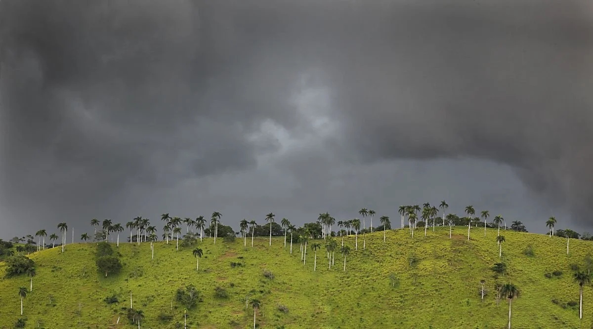 Paisaje de Jánico en Mayo. 2014