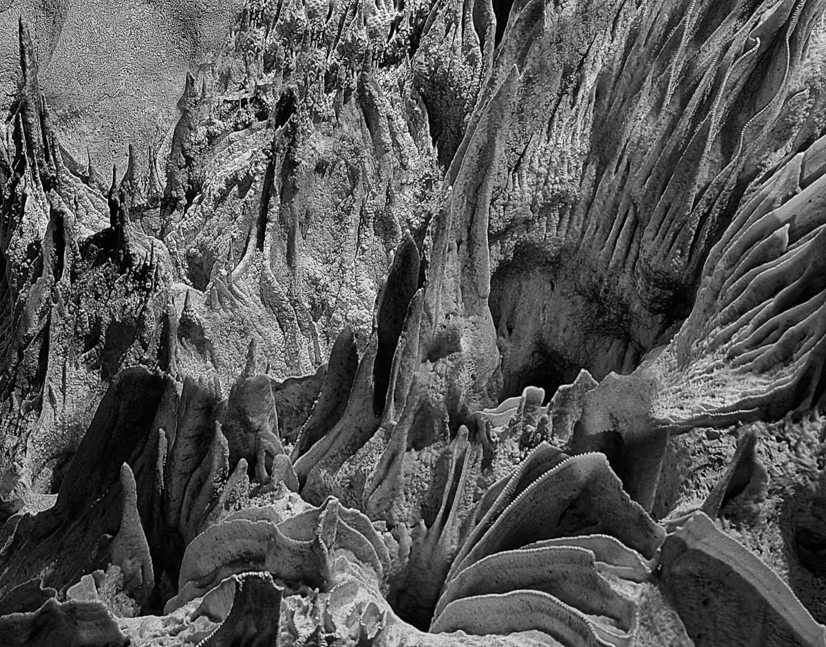 En la Cueva de las Maravillas. 2007