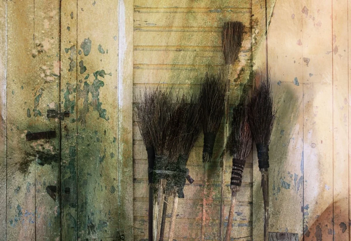 Escobas en Luperón. 2014