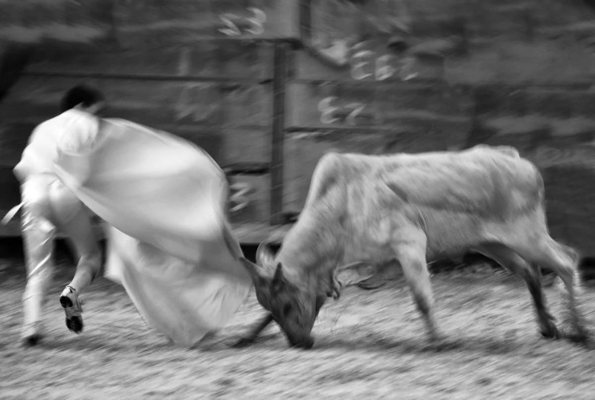 Toreando en El Seybo. 2009