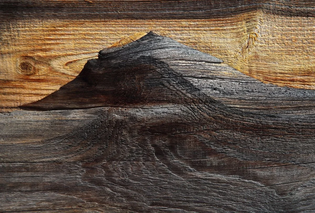 Serie de Madera y Tiempo 4. 2020