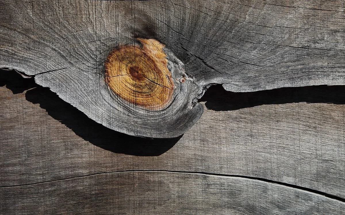 Serie de Madera y Tiempo 6. 2020