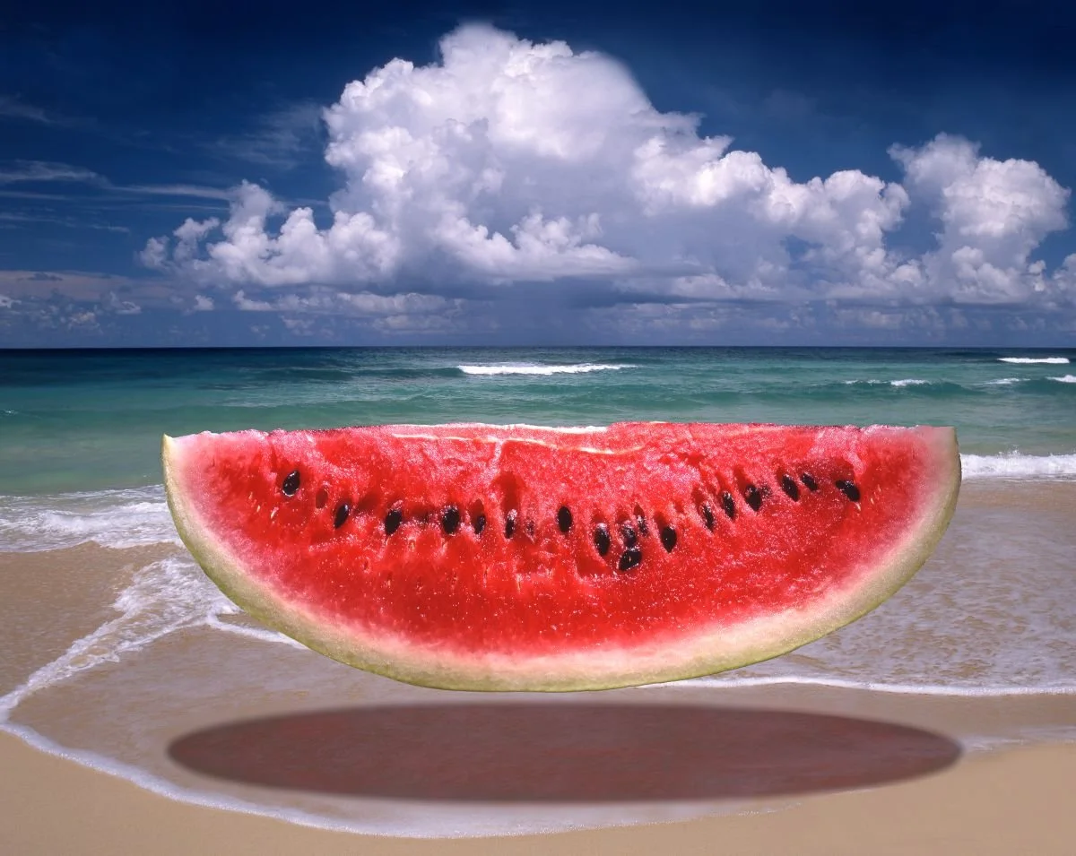 Sandía en la Costa Norte. 2017