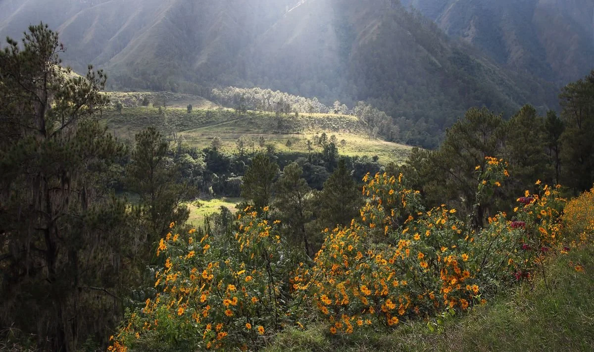 Montañas del Convento 2, Constanza.  2019