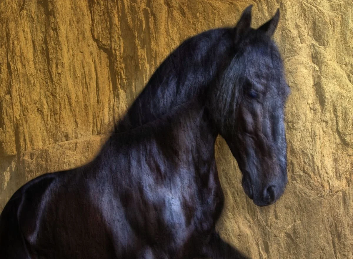 Caballo en Celo. 2012