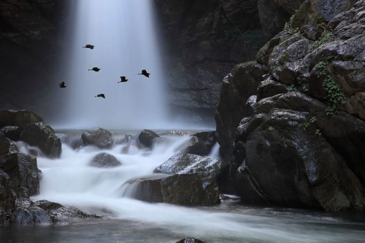 Al Final del Día. 2013