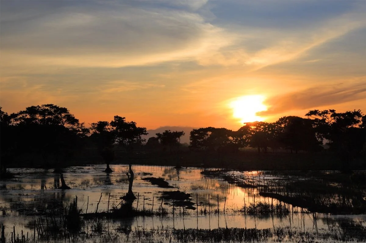Llanura Costera, Nagua. 2018