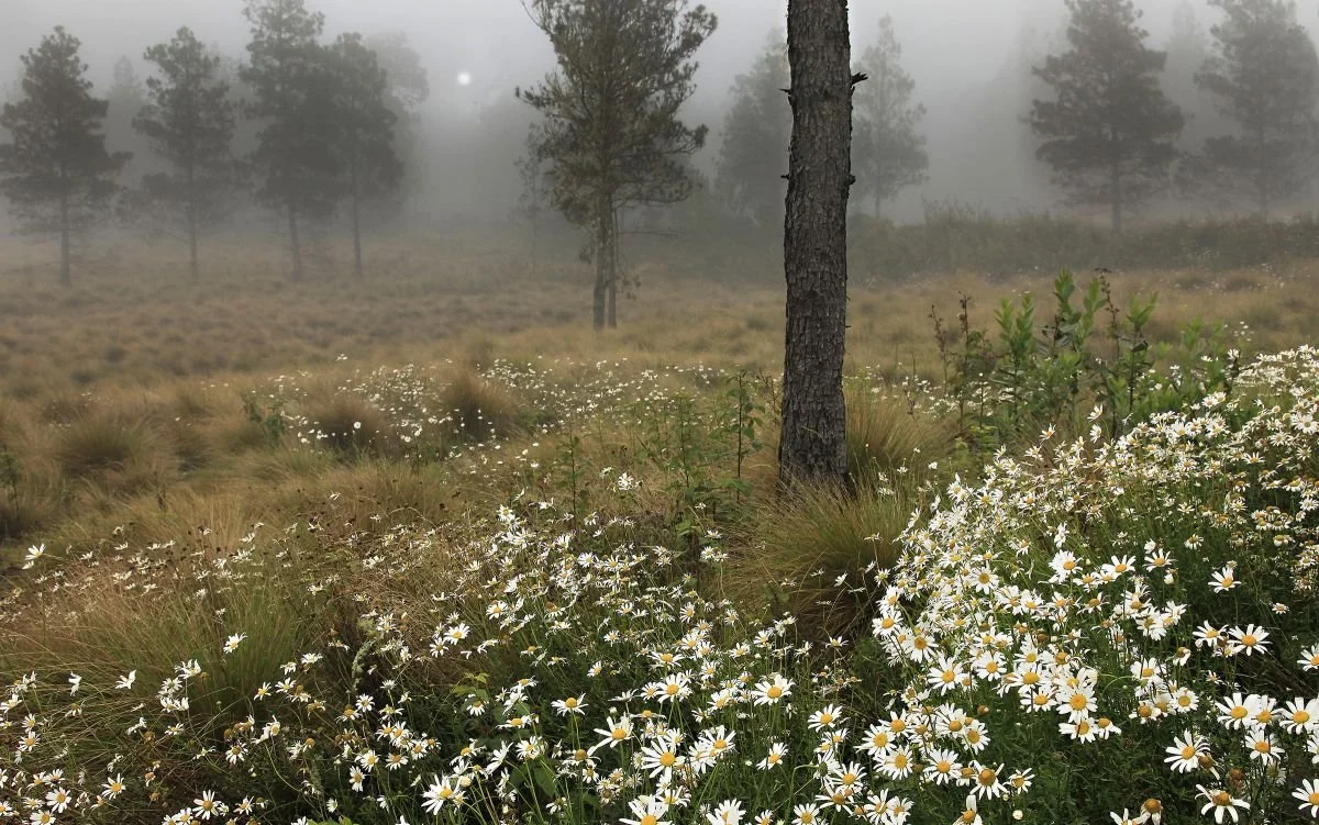 Atardecer en Valle Nuevo 1