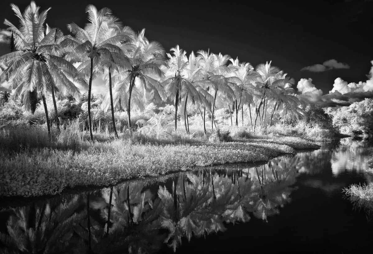 En los Caños de Nagua. 2008