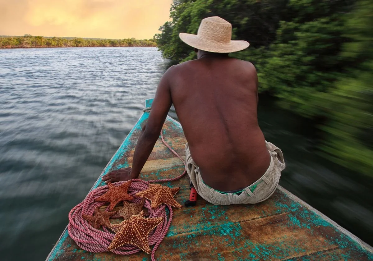 Pescador y Estrellas de Mar. 2012