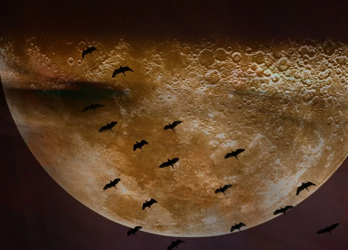 Acerca de la Migración. 2011