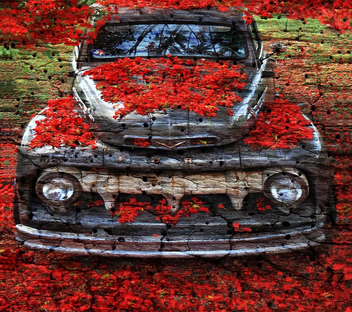 Camioneta y Framboyán. 2012