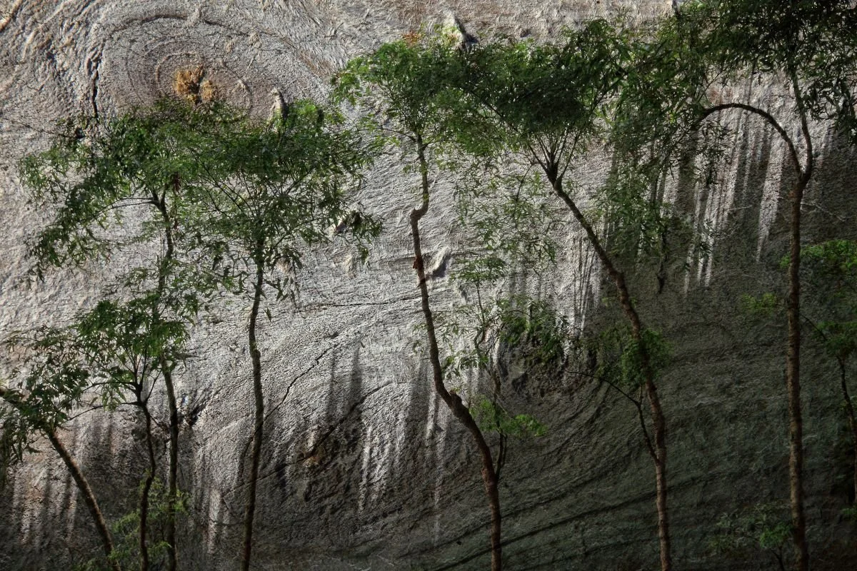 Sombras Verticales. 2010