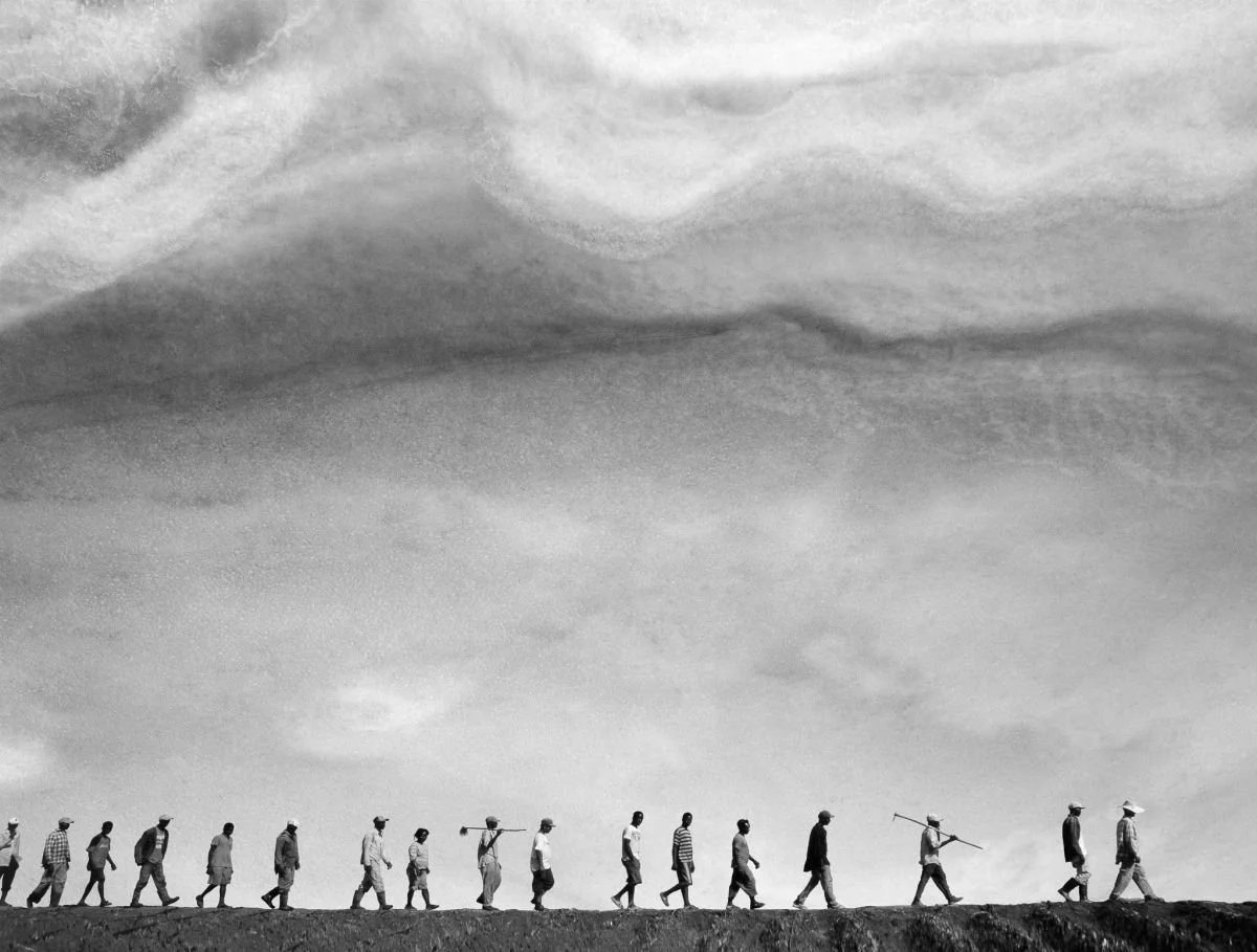 De la Migración. 2009