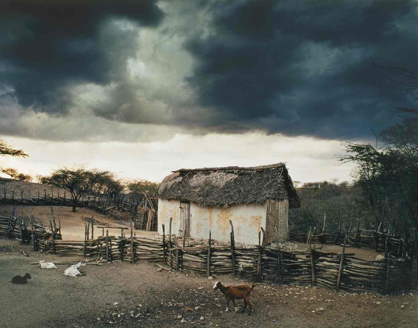 Casita con Chivos, Neiba. 1985