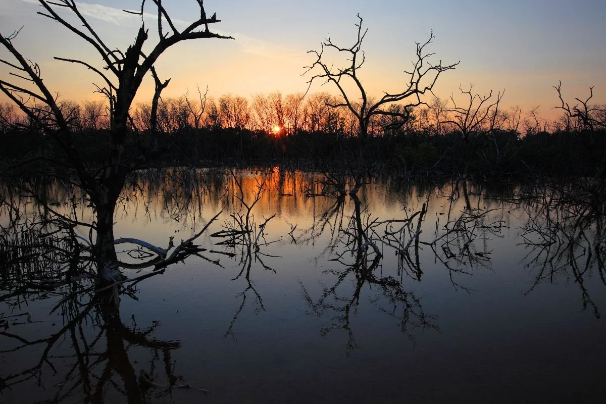 Lago Enriquillo. 2019