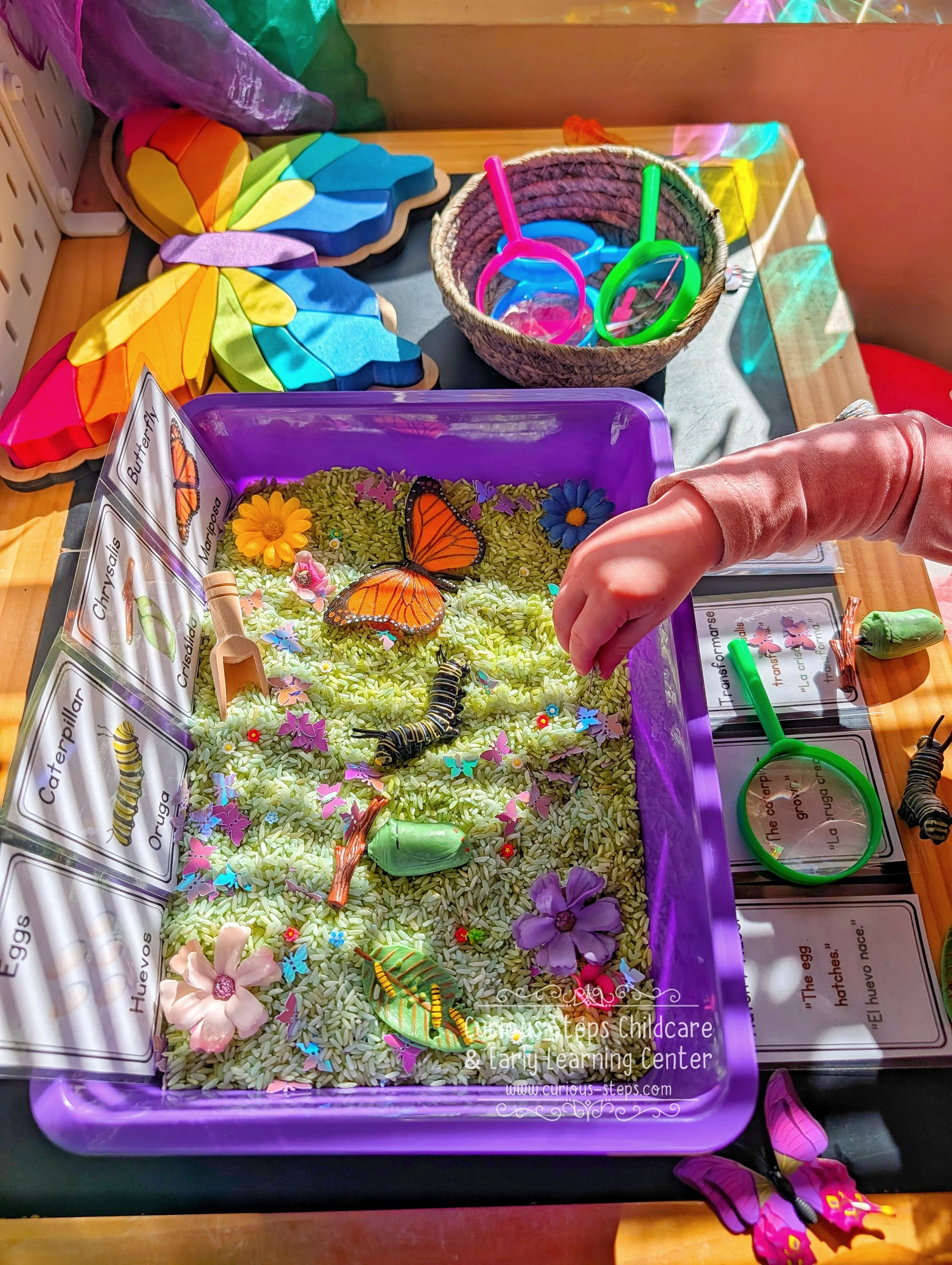 garden-butterfly-sensory-kit-curious-steps-childcare-burien-daycare-preschool.jpg