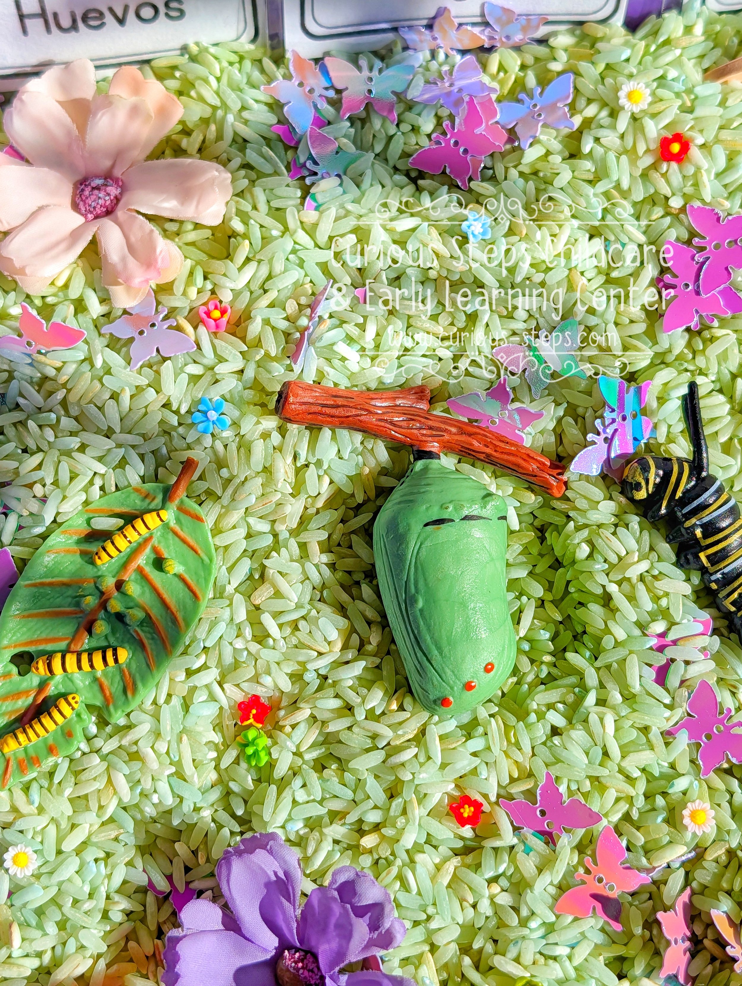 butterfly-sensory-kit-curious-steps-childcare-burien-daycare-preschool.jpg