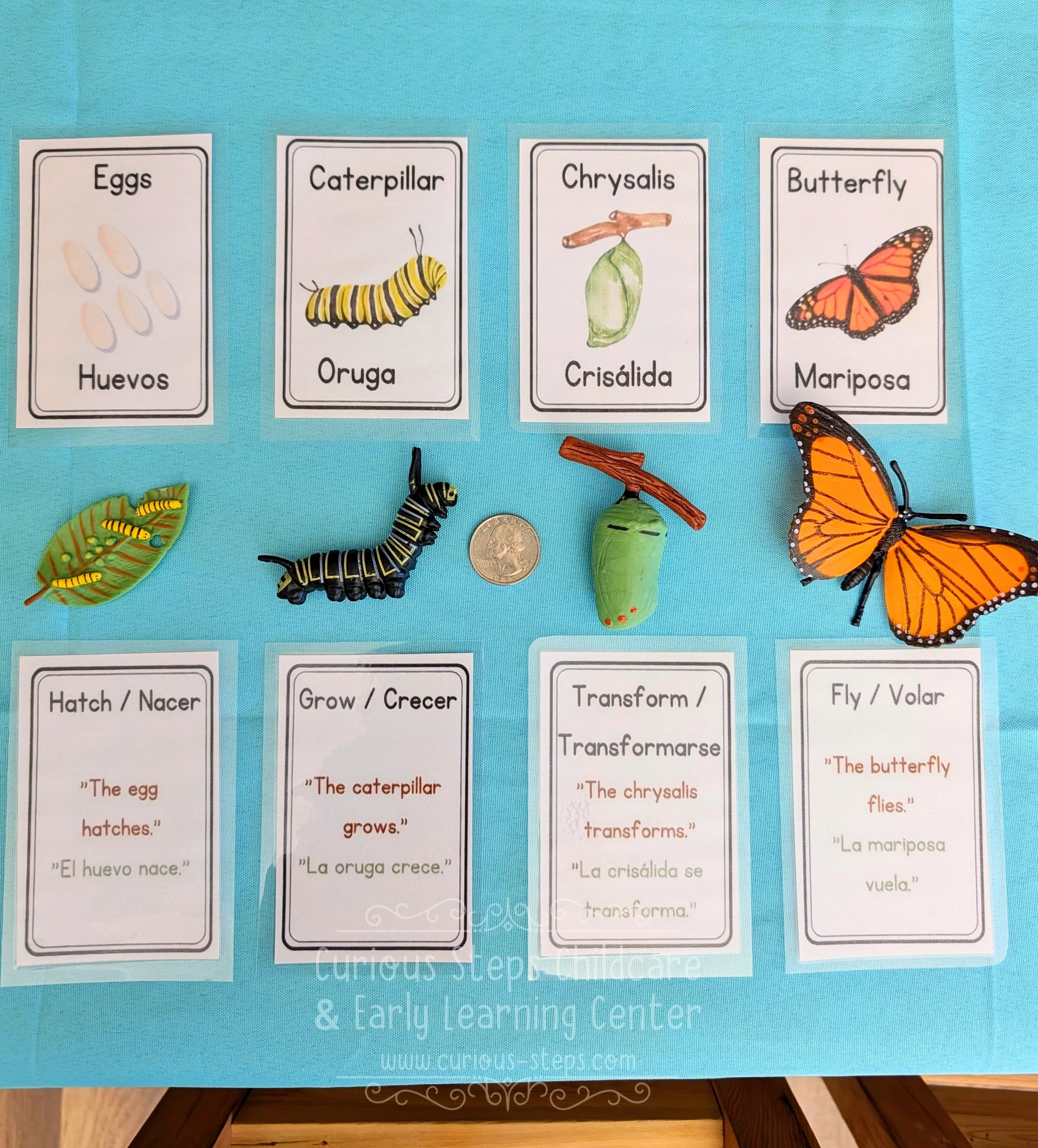 bilingual-butterfly-flashcards-5.jpg