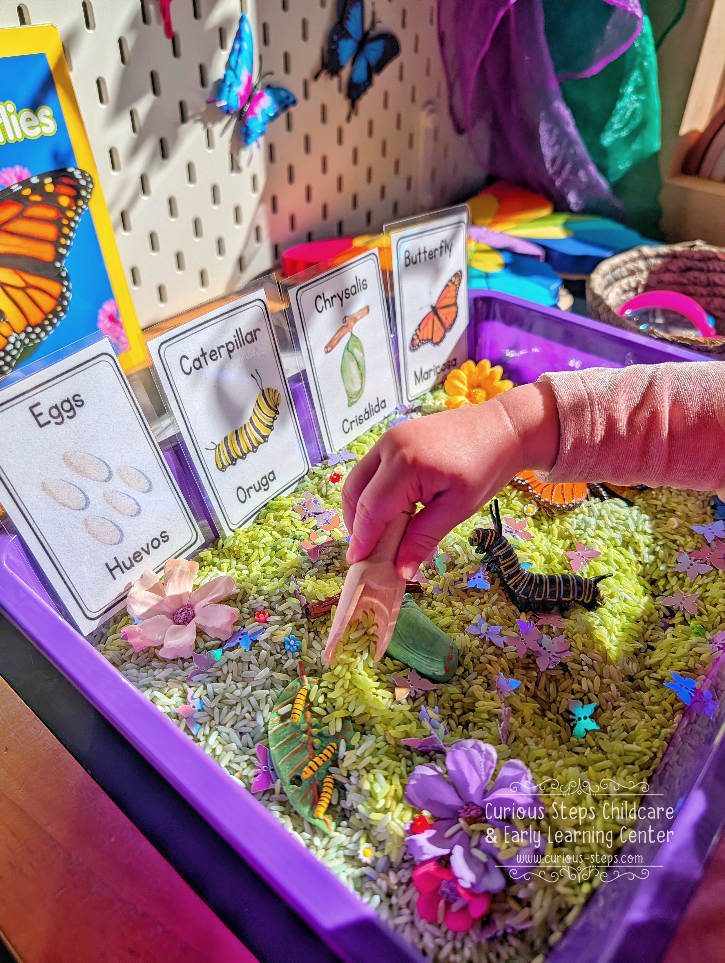 butterfly-sensory-kit-curious-steps-childcare-burien-daycare-preschool-seattle-prek.jpg