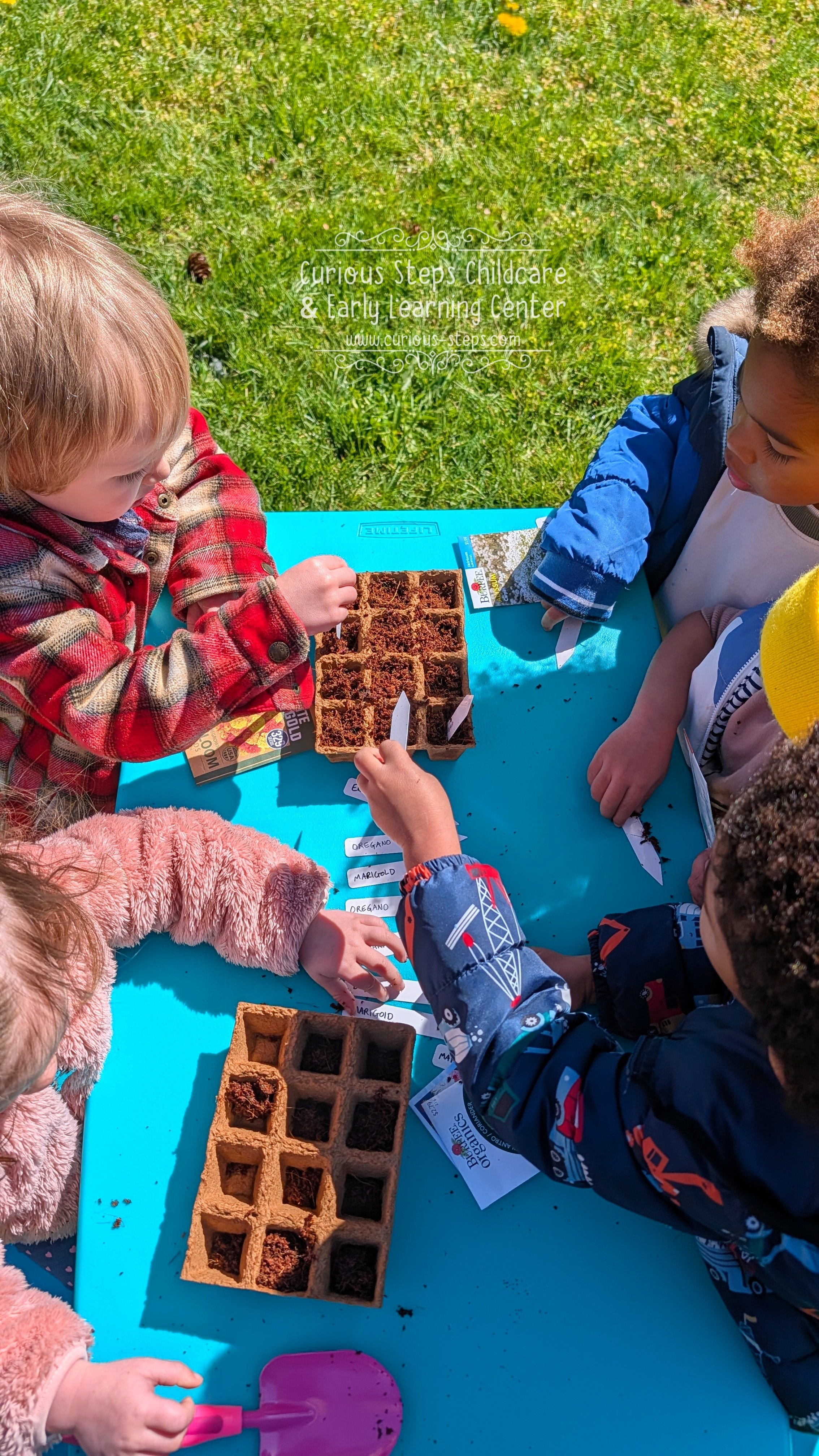 reggio-preschool-redmond.jpg