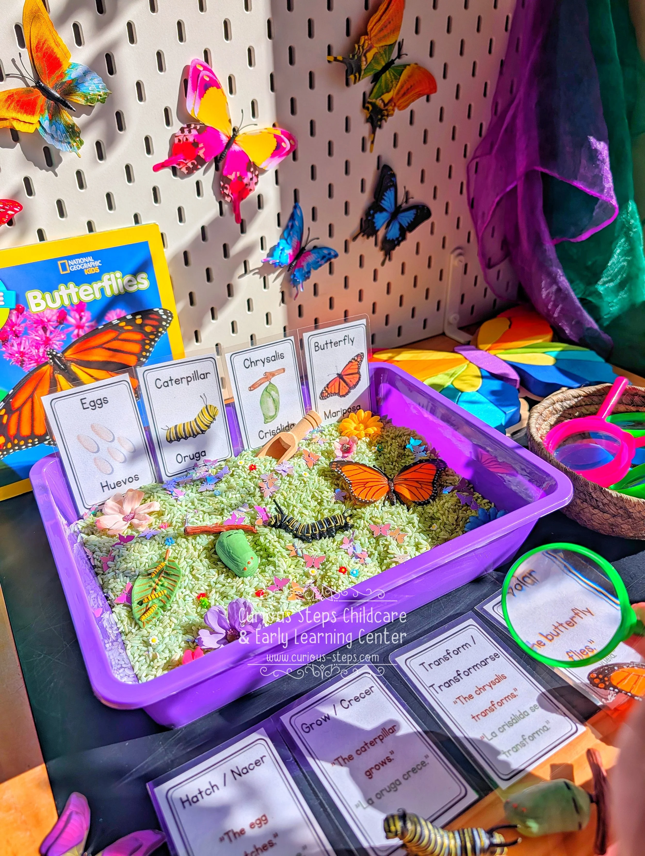 butterfly-sensory-kit-curious-steps-childcare-burien-daycare-preschool-spring.jpg