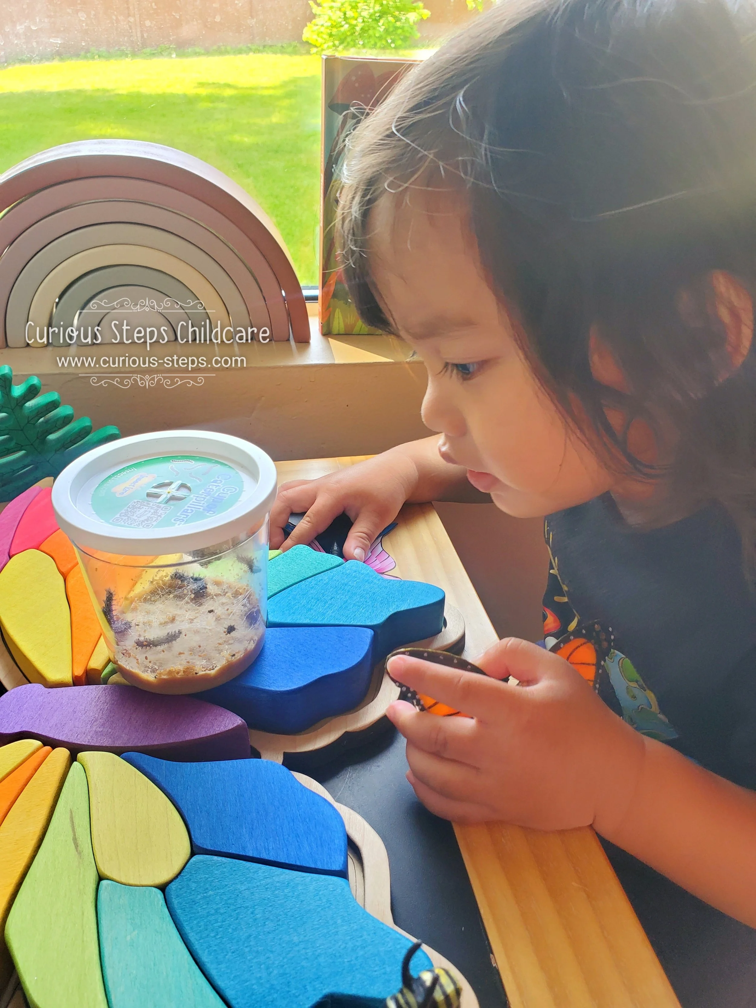 Butterfly Garden Sensory Bin - Bilingual Butterfly Life Cycle Learning Kit