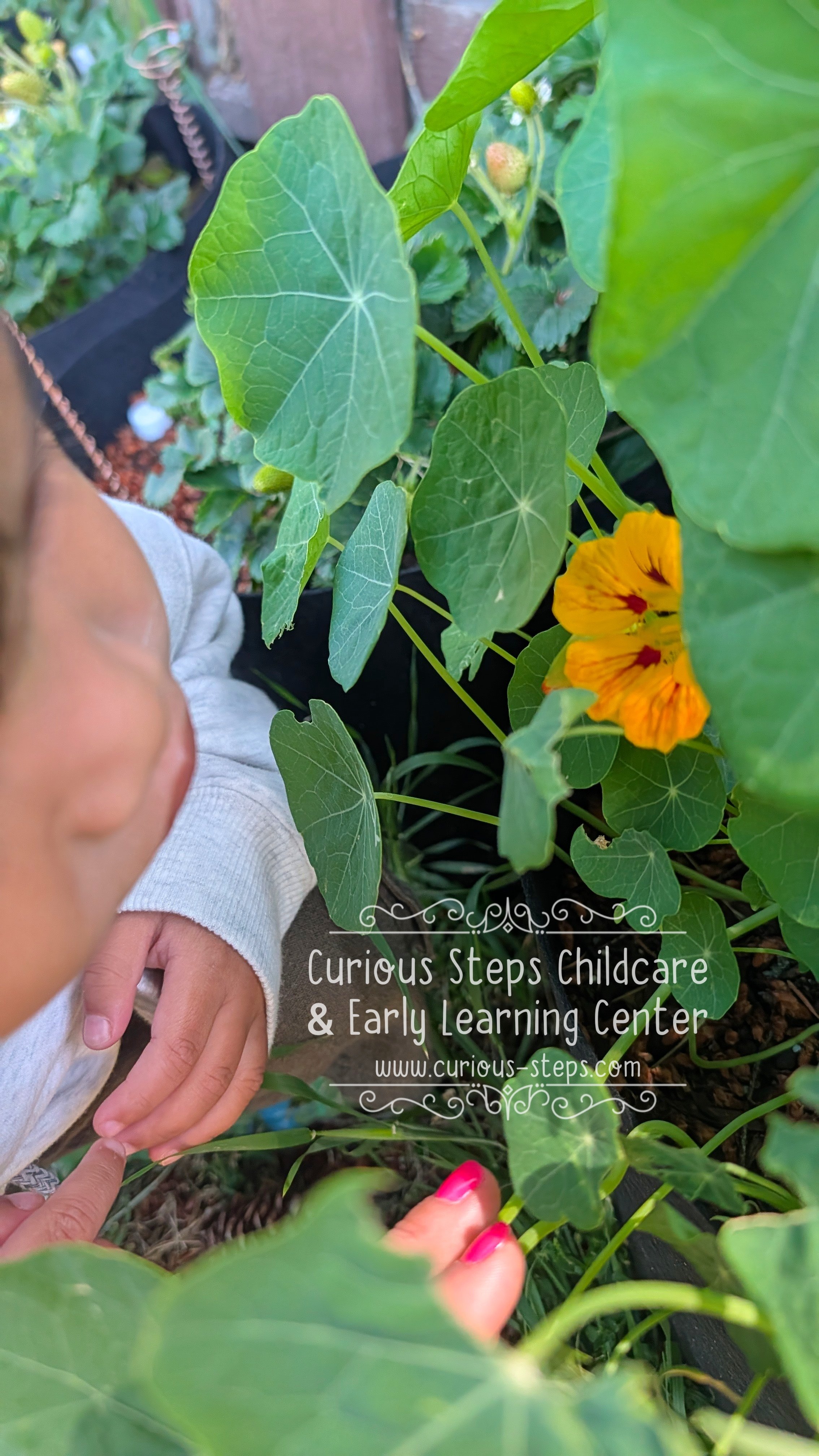 bilingual-redmond-daycare.jpg