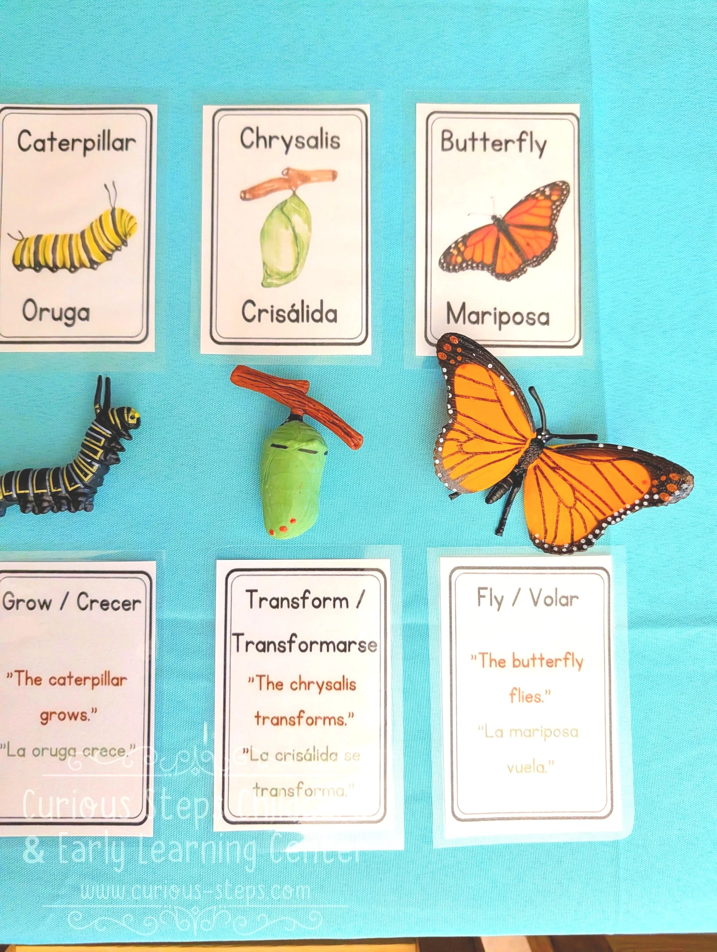 bilingual-butterfly-flashcards-6.jpg