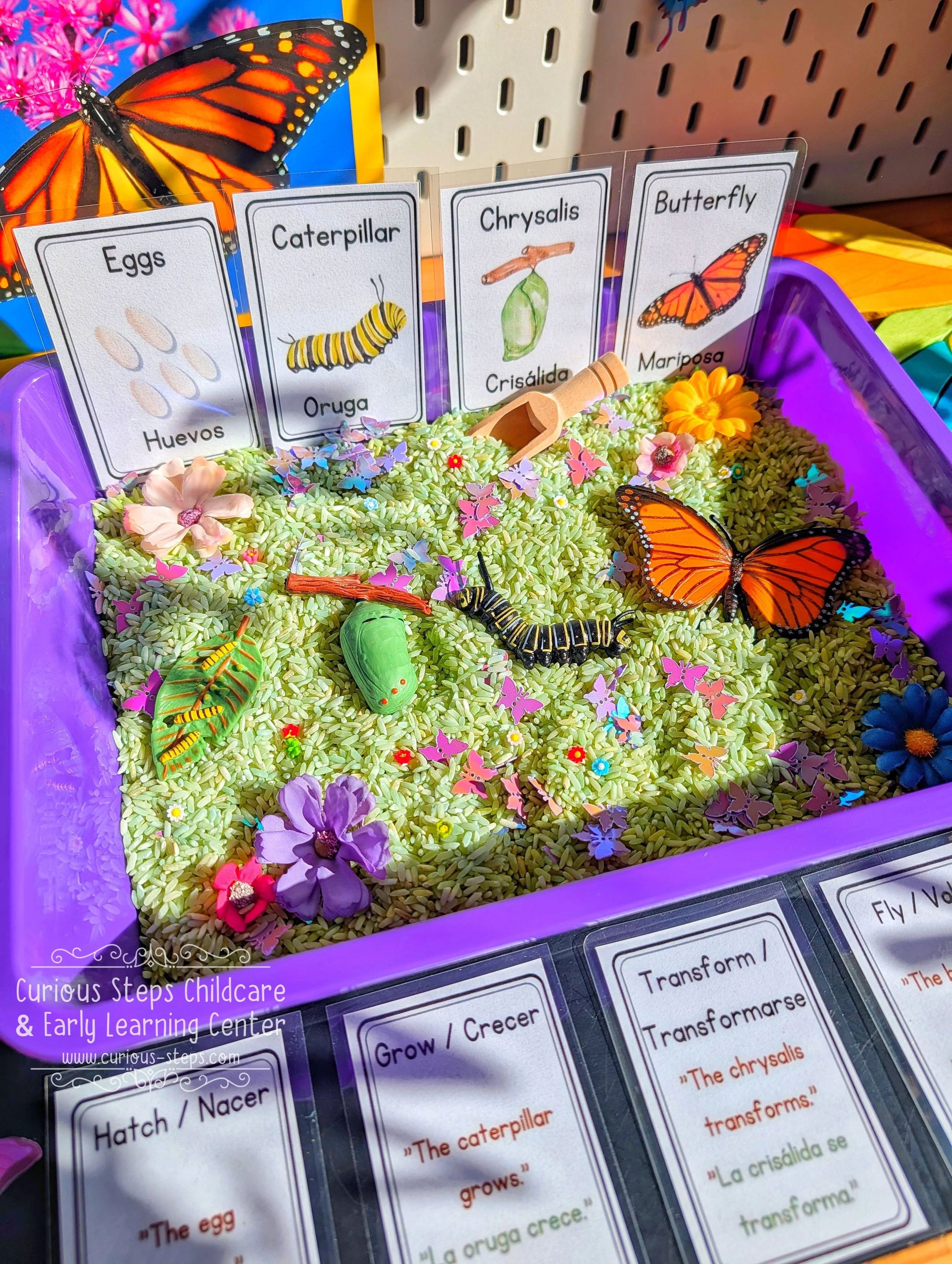 butterfly-sensory-kit-curious-steps-childcare-burien-daycare-preschool-prek.jpg
